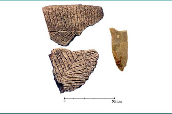 Bronze age funerary pottery & flint